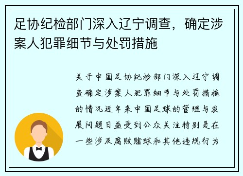 足协纪检部门深入辽宁调查，确定涉案人犯罪细节与处罚措施